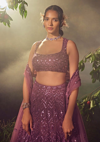 Aneesh Agarwaal-Argyle Purple Embroidered Lehenga Set-INDIASPOPUP.COM