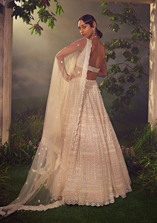Aneesh Agarwaal-Blush Ivory Tulle Embroidered Lehenga Set-INDIASPOPUP.COM