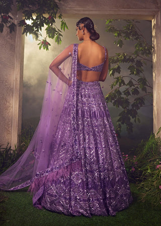 Aneesh Agarwaal-Purple Haze Tulle Embroidered Lehenga Set-INDIASPOPUP.COM