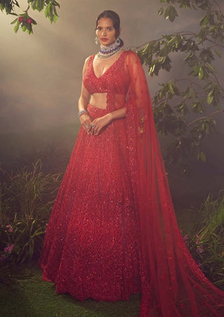 Aneesh Agarwaal-True Red Tulle Embroidered Lehenga Set-INDIASPOPUP.COM