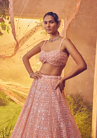 Aneesh Agarwaal-Peach Tulle Embroidered Lehenga Set-INDIASPOPUP.COM