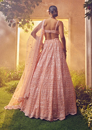 Aneesh Agarwaal-Peach Tulle Embroidered Lehenga Set-INDIASPOPUP.COM