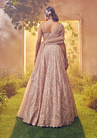 Aneesh Agarwaal-Salmon Organza Embroidered Lehenga Set-INDIASPOPUP.COM