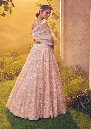 Aneesh Agarwaal-Crystal Pink Tulle Embroidered Lehenga Set-INDIASPOPUP.COM