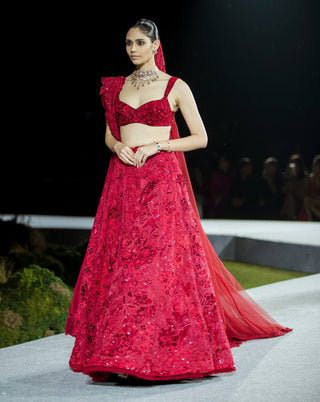Red ellisiana lehenga set