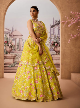 Lime Green Embroidered Lehenga Set by Aneesh Agarwaal available on Indiaspopup.com