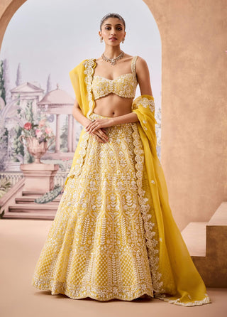 Yellow Thread Embroidery Lehenga Set by Aneesh Agarwaal available on Indiaspopup.com