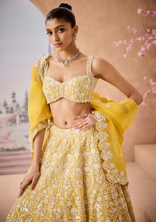 Yellow Thread Embroidery Lehenga Set by Aneesh Agarwaal available on Indiaspopup.com