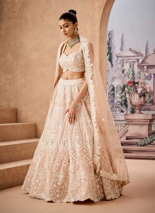 Nude Silver Embroidery Lehenga Set by Aneesh Agarwaal available on Indiaspopup.com