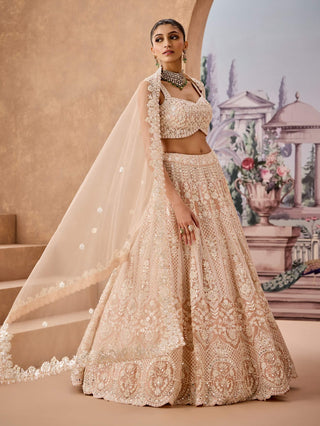 Nude Silver Embroidery Lehenga Set by Aneesh Agarwaal available on Indiaspopup.com