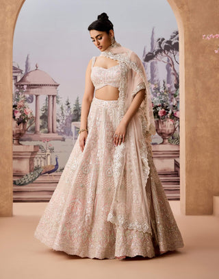 Pink Heritage Pattern Lehenga Set by Aneesh Agarwaal available on Indiaspopup.com