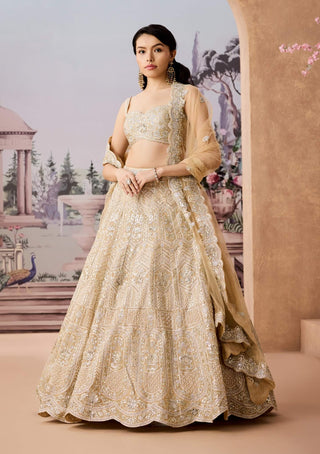 Champagne Gold Lehenga Set by Aneesh Agarwaal available on Indiaspopup.com