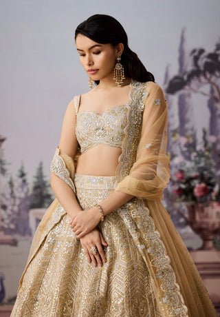 Champagne Gold Lehenga Set by Aneesh Agarwaal available on Indiaspopup.com