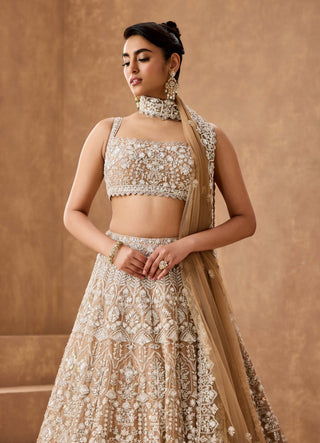 Tan Gold Embroidered Lehenga Set by Aneesh Agarwaal available on Indiaspopup.com