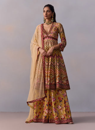 Kushnaz Multicolor Anarkali Set by Kalista available on Indiaspopup.com