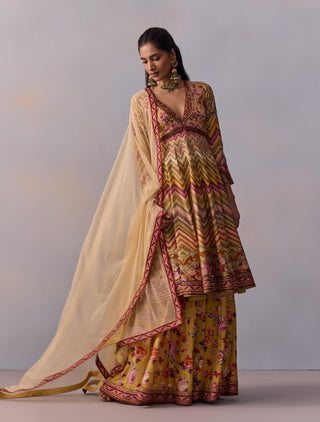 Kushnaz Multicolor Anarkali Set by Kalista available on Indiaspopup.com