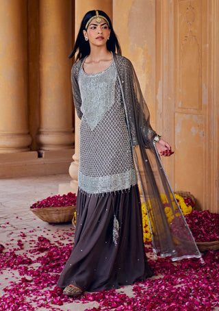 Amitabh Malhotra-Mud Green Embellished Tunic And Skirt Set-INDIASPOPUP.COM