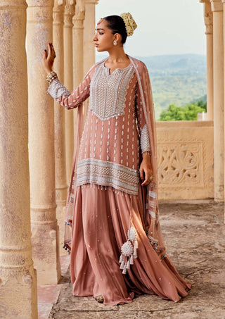 Amitabh Malhotra-Peach Bloom Embellished Tunic And Skirt Set-INDIASPOPUP.COM