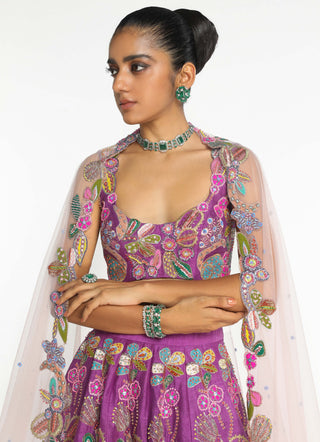 Eminara Eminence Lehenga Set by Aisha Rao, available on Indiaspopup.com