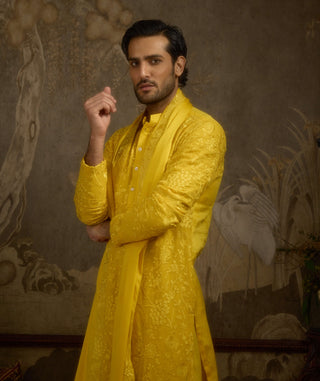 Heerbasant yellow kurta set