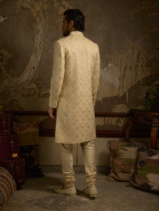 Noorjah champagne gold sherwani set