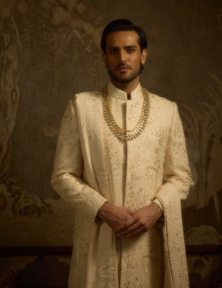 Zarbagh champagne gold sherwani set
