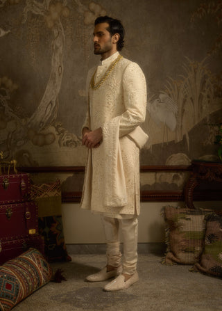 Zarbagh champagne gold sherwani set