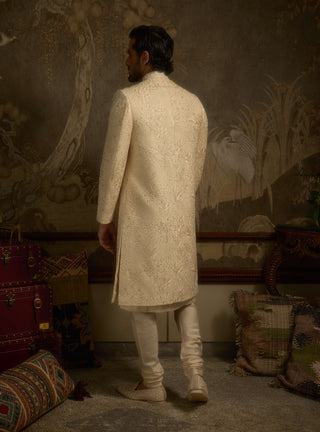 Zarbagh champagne gold sherwani set
