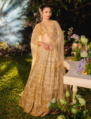 Golden reverie lehenga set