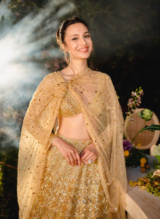 Golden reverie lehenga set