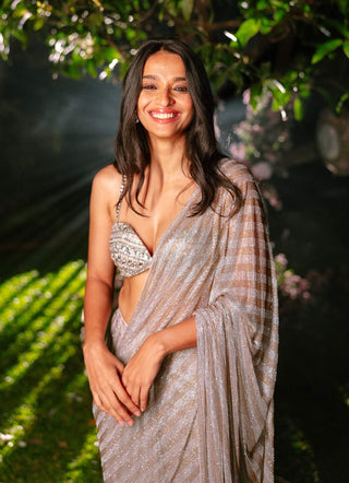 Celestial stride gold silver stripes sari and blouse