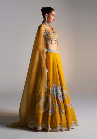 Honey gold embroidered lehenga set