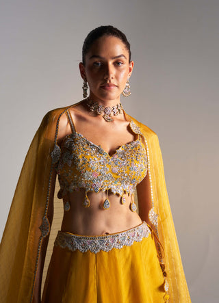 Honey gold embroidered lehenga set