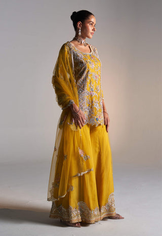 Honey Gold Embroidered Sharara Set by Osaa By Adarsh, available on Indiaspopup.com