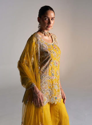 Honey Gold Embroidered Sharara Set by Osaa By Adarsh, available on Indiaspopup.com