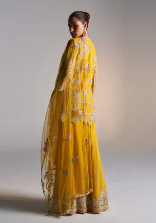 Honey Gold Embroidered Sharara Set by Osaa By Adarsh, available on Indiaspopup.com