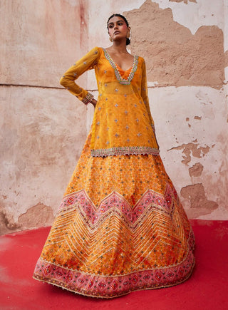 Patola Mustard Lehenga And Kurta Set by Aditi Gupta available on Indiaspopup.com