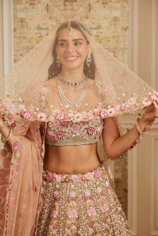Ameera pink lehenga set