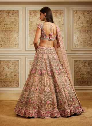 Ameera pink lehenga set