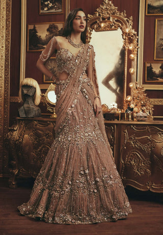 Anne burnt peach lehenga set
