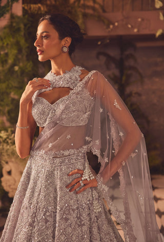 Arienna mauve lehenga set