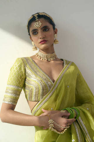 Elyse green sari and blouse