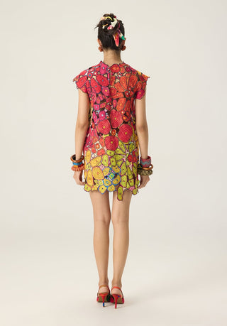 Esther multicolor embroidered dress