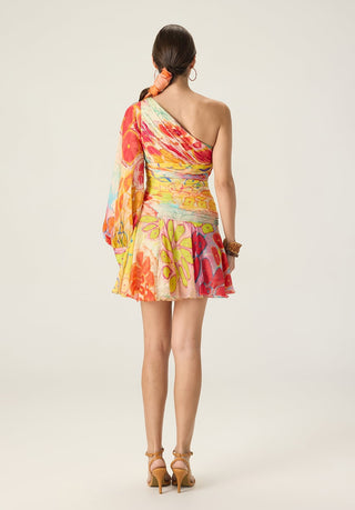 Juliana multicolor printed dress