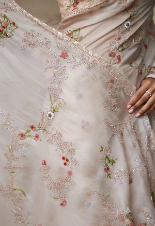 Blush rose sari and blouse