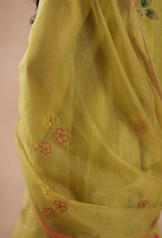 Pistachio green holi kurta set