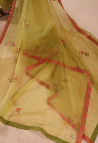 Pistachio green holi kurta set