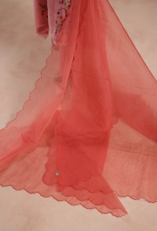 Blush pink evara kurta set