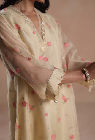 Ivory sarina kurta set