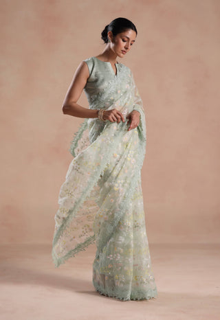Light mint solana sari and blouse